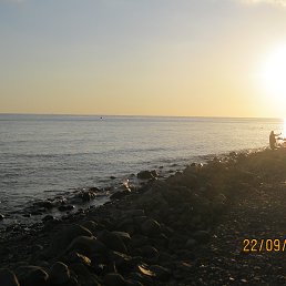 ���� �������, ������-��-����, 51 ��� - ��������� 14 ����� 2026