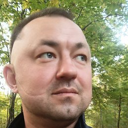 �����, ������, 38 ���