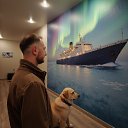 ���� �����, �������������, 44 ���� - ��������� 4 ������ 2026