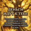 ���� �������, �����, 66 ��� - ��������� 15 ������� 2026 � ������ ������ ��������