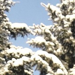 �������, ���������, 46 ���