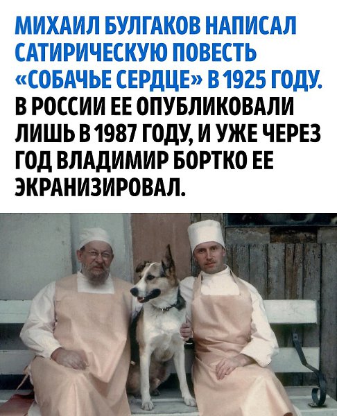 Один из лучших фильмов экранизированный по книге