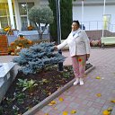 ���� �����, ������������, 64 ���� - ��������� 1 ������ 2023 � ������ ���� ����������