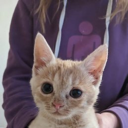 Andrey, ������, 43 ����