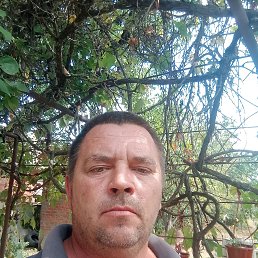 , 34, 