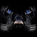 ���� �����, �����-���������, 63 ���� - ��������� 21 ������� 2023 � ������ ���� ����������