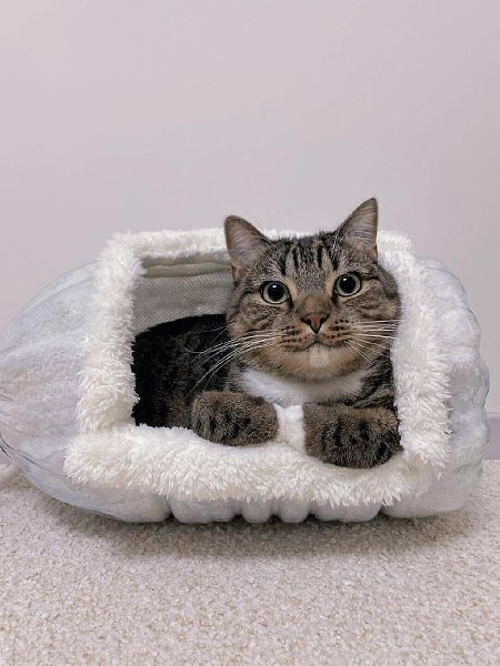 ��������))) - 3