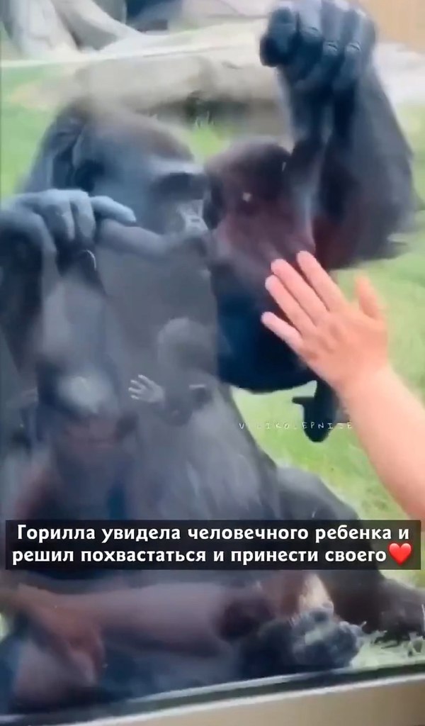   ,         ,  ! - 2