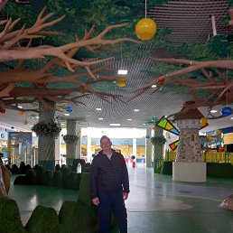 ������, 36 ���, ������