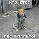 ���� ��������, ������� - ��������� 17 ������� 2025 � ������ ������ ��������