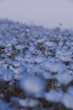 ����� ������� � �������, �� ��� ������������ ��� ����. - 4