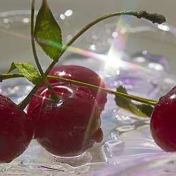 �������, ����, 50 ���