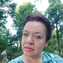 ���� ����, �����������, 50 ��� - ��������� 23 ������ 2026 � ������ ���� ����������