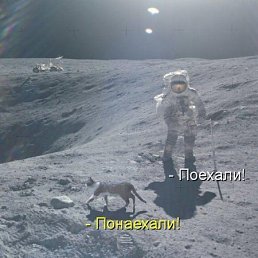 ���� �������, ���������, 53 ���� - ��������� 9 ������ 2026