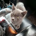 ���� ����, ������ ��������, 57 ��� - ��������� 7 ������ 2023 � ������ ���� ����������