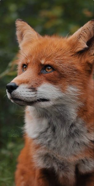 �������� - 16 ������� 2025 � 11:53