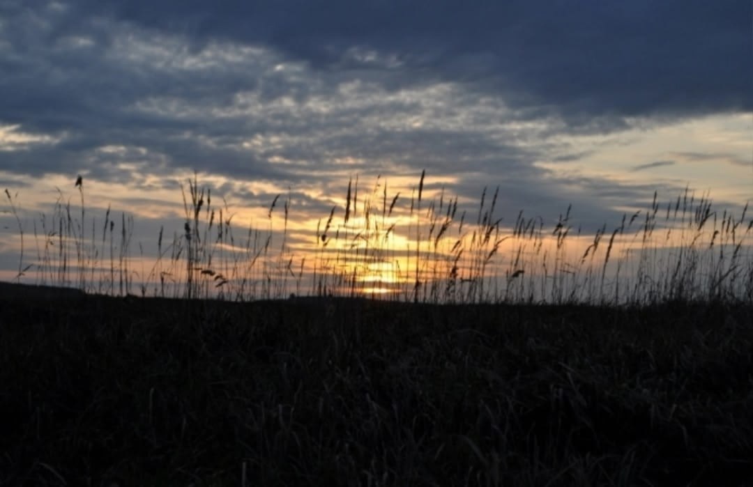 �occ��, ap�� ��, �.�https://fotostrana.ru/away?to=/sl/JOu6��� �epe� o���, o��c��� �a�o�.oce��.o�o�c�a� �p��a. - 3