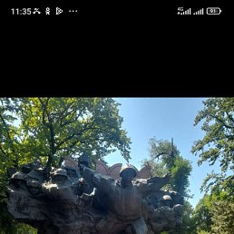, 62, 