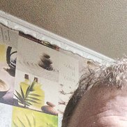 ���� �������, 39 ���, �����������