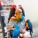 ���� Onur, �������, 39 ��� - ��������� 7 ���� 2025 � ������ ������ ��������