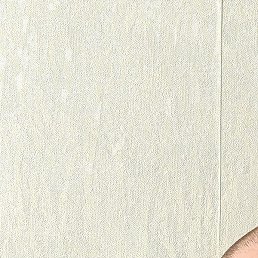 ��������, �����������, 46 ���