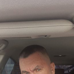 ������, ����, 50 ���