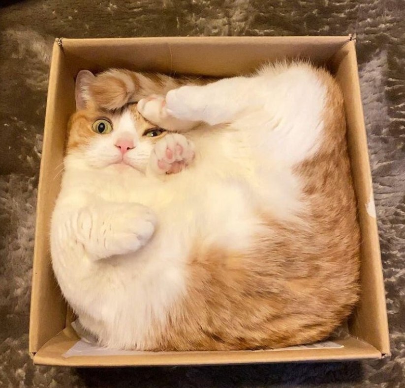   :)