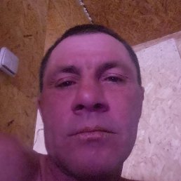 �������, �������, 44 ����