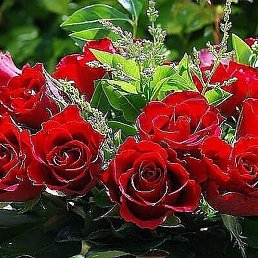 Rifa, �������, 34 ����