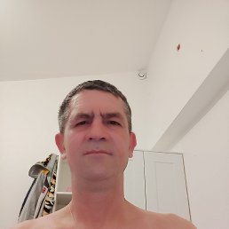 , 54, 