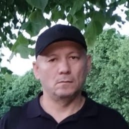 �����, ������, 54 ����