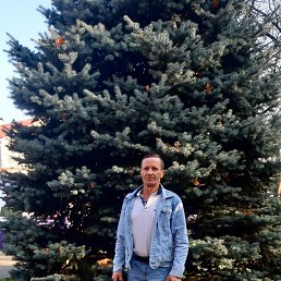 ����, 51 ���, ����