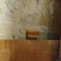 �������, �����, 50 ���