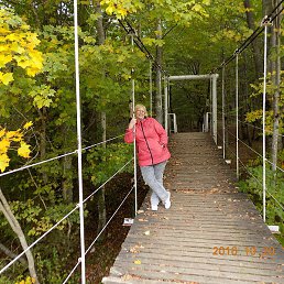 ���������, ����, 74 ����