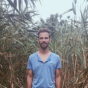 �����, 41 ���, ������