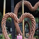 ���� �����, ������, 65 ��� - ��������� 15 ������ 2026 � ������ ���� ����������