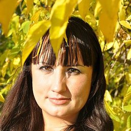 �����, ������, 44 ����