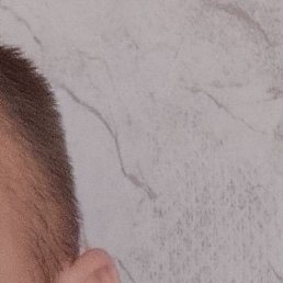 �����, �����, 37 ���