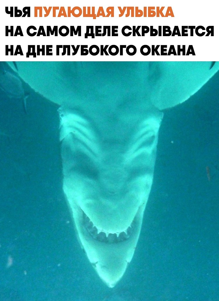 ������ ������ �������� ������ ������� ������������� ��� ��������� ��������� �������. ������ ����� ...