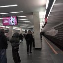 ���� ������ �����, �����, 53 ���� - ��������� 12 ������ 2024 � ������ ���� ����������