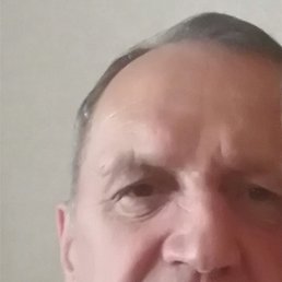 , 62,  