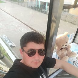 , 29, 