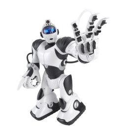 ���������, ���������, 24 ����