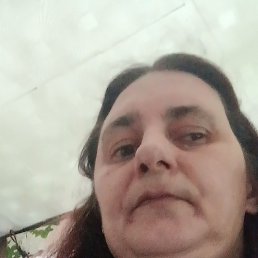 ��������, 39 ���, ����