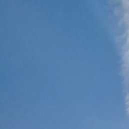 �����, ��������, 38 ���