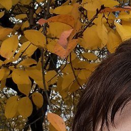 �����, ������, 51 ���