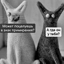 ���� Dmitriy, ������ - ��������� 26 ����� 2025