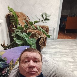 �������, 38 ���, ��������