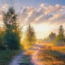 ���� �������, �������, 50 ��� - ��������� 7 ��� 2024 � ������ ���� ����������