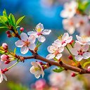 ���� �����, �������, 54 ���� - ��������� 14 ������ 2026 � ������ ������ ��������